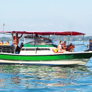 Book Speed Boat For Your Private Whale Watching Trip