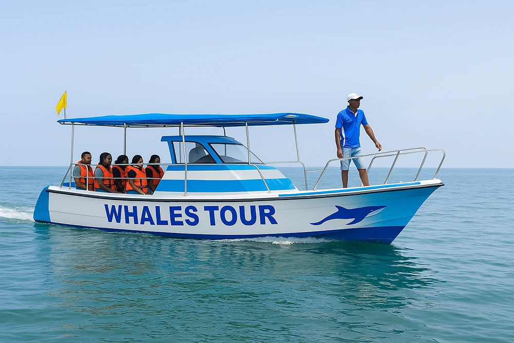 speedboat-whales-watching-tour-on-mirissa-ocean